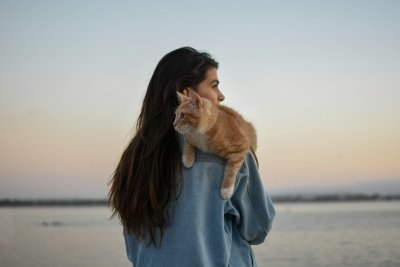 Huisdier ziek, geen geld voor de dierenarts: wat nu?